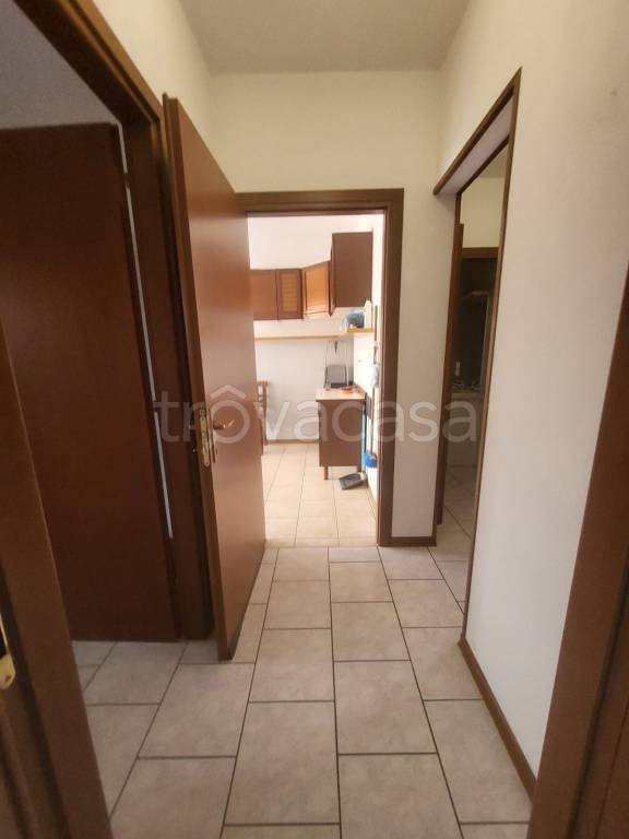 immagine annuncio 5 di 14