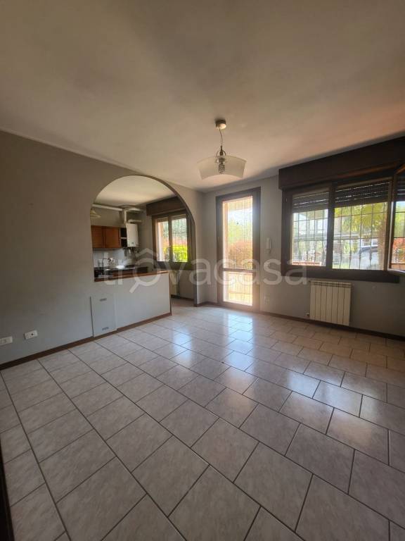 immagine annuncio 3 di 14