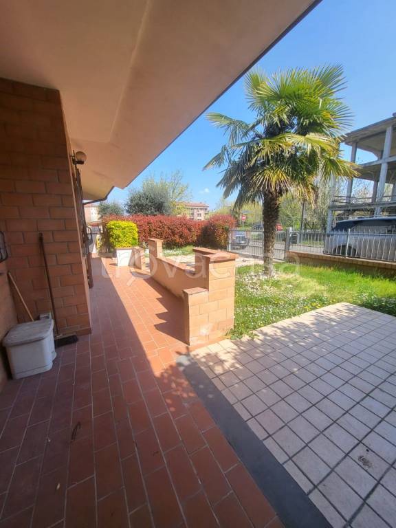 immagine annuncio 1 di 14