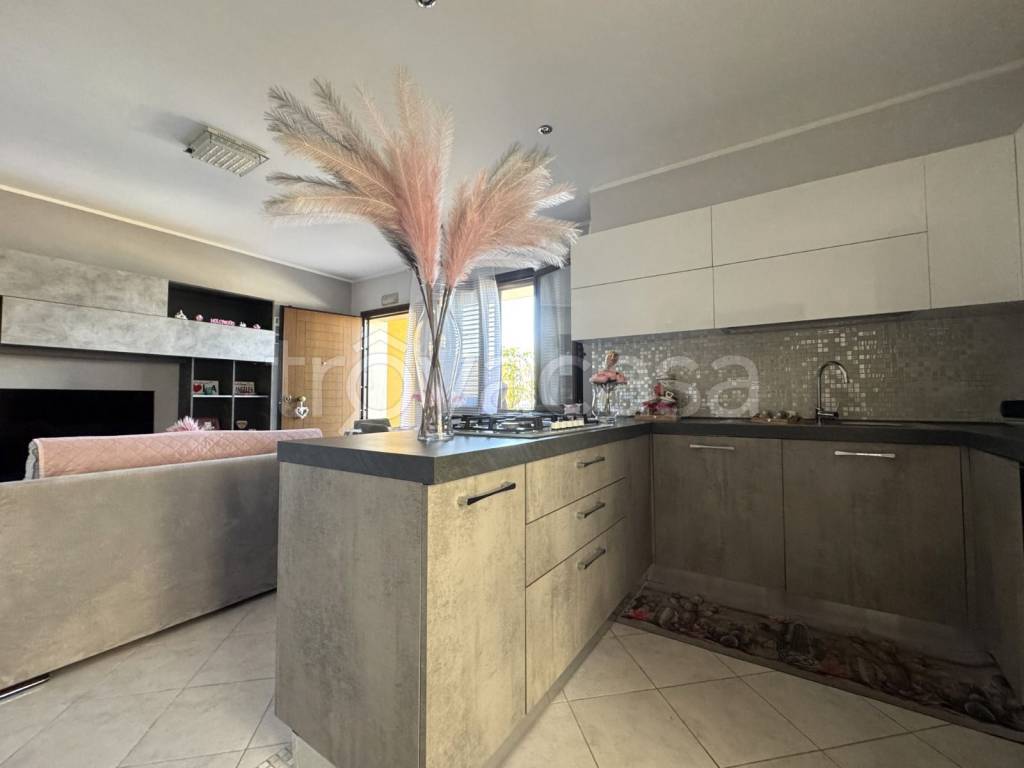 immagine annuncio 5 di 14