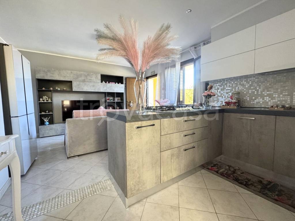 immagine annuncio 4 di 14