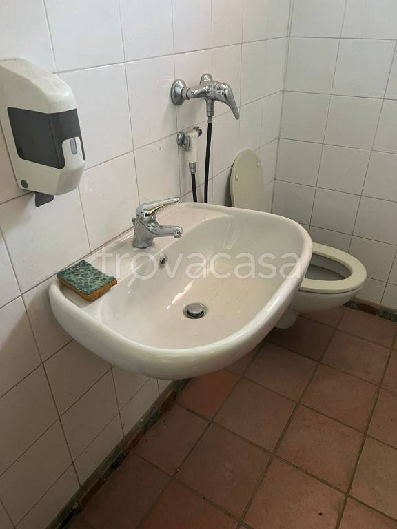 immagine annuncio 9 di 14