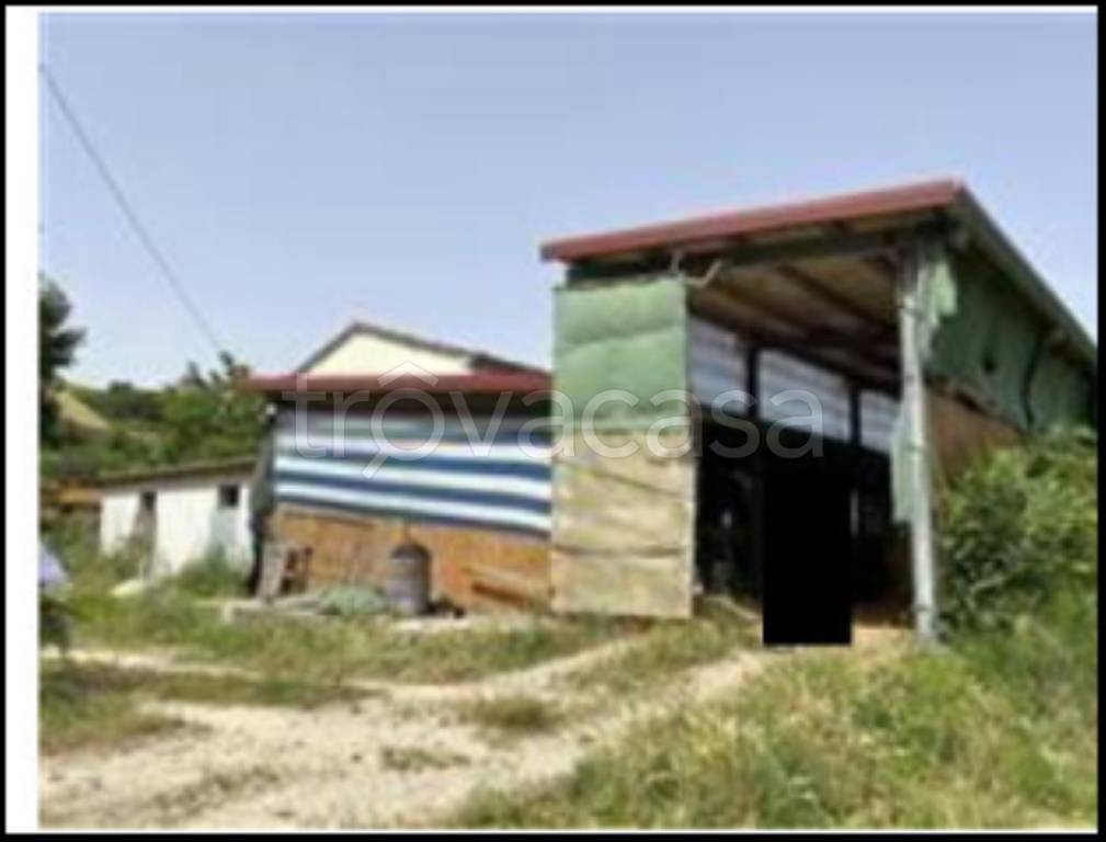 immagine annuncio 7 di 11