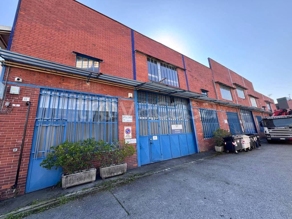 immagine annuncio 3 di 15