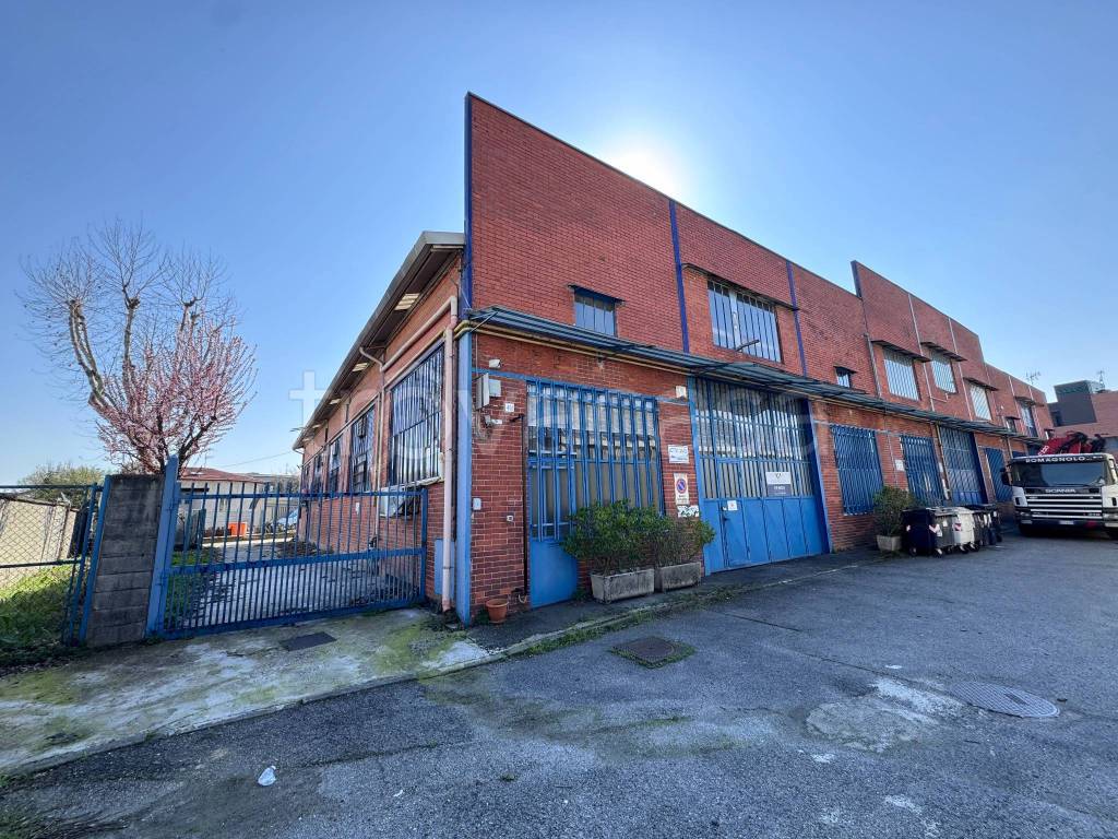 immagine annuncio 4 di 15