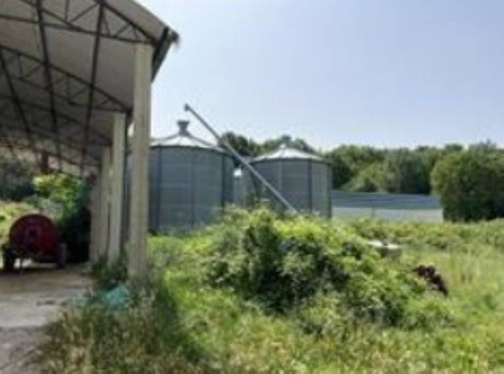 immagine annuncio 4 di 11