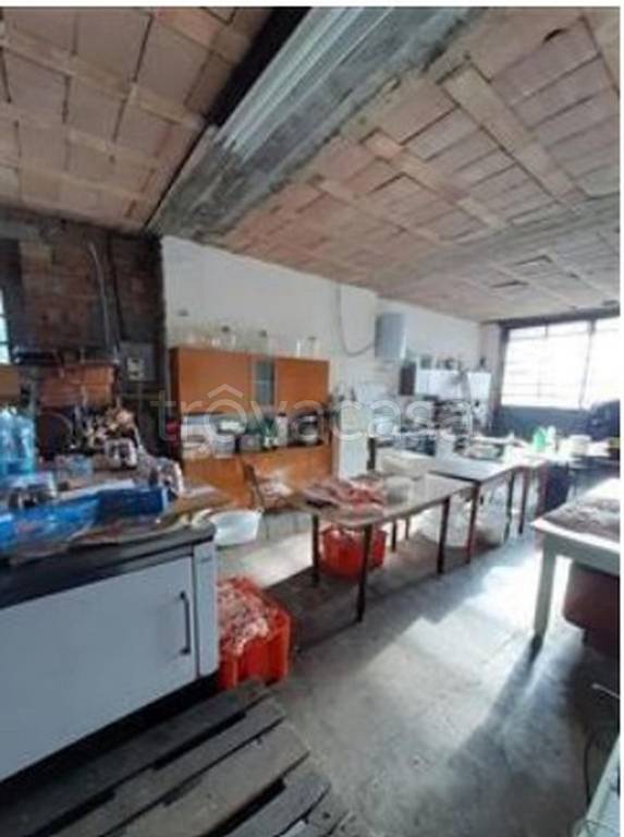 immagine annuncio 12 di 13