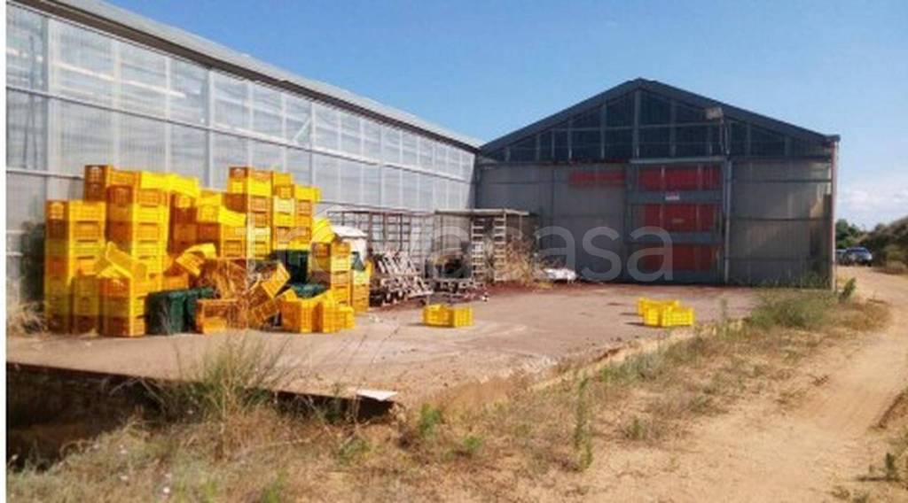 immagine annuncio 4 di 12