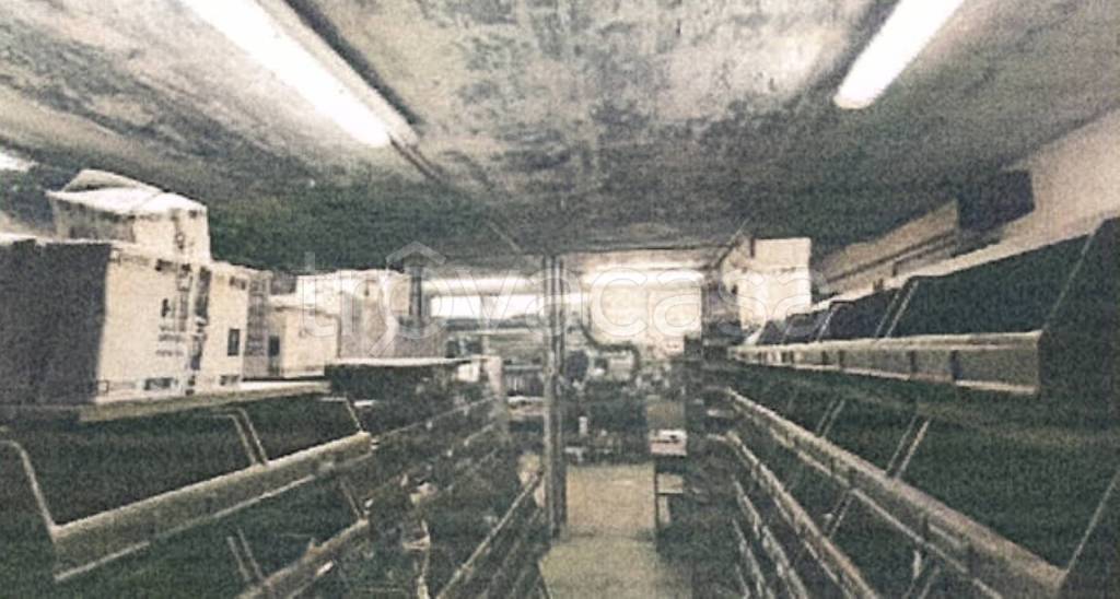 immagine annuncio 5 di 11