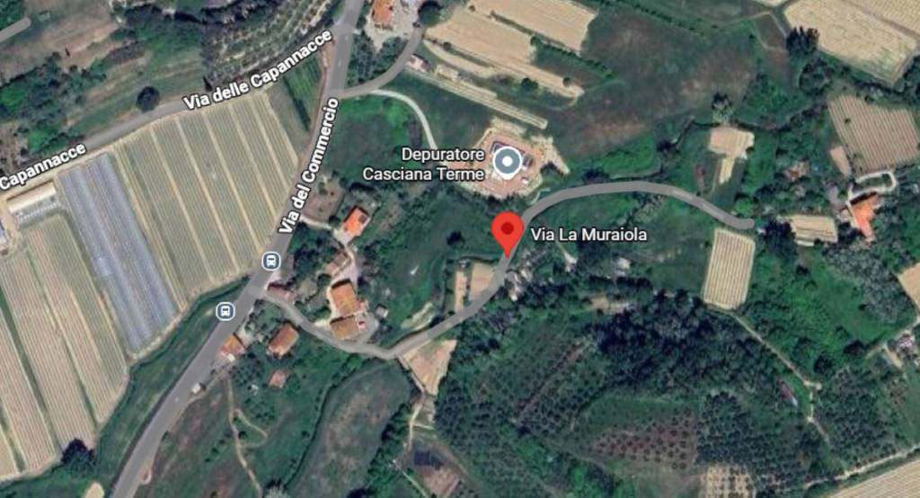 immagine annuncio 4 di 11