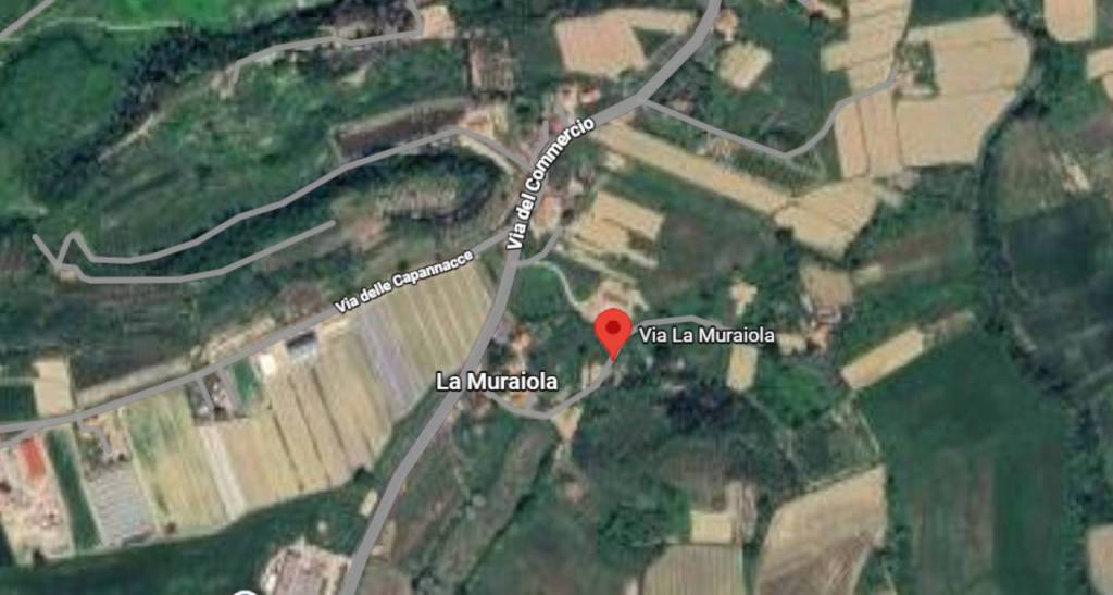 immagine annuncio 9 di 11