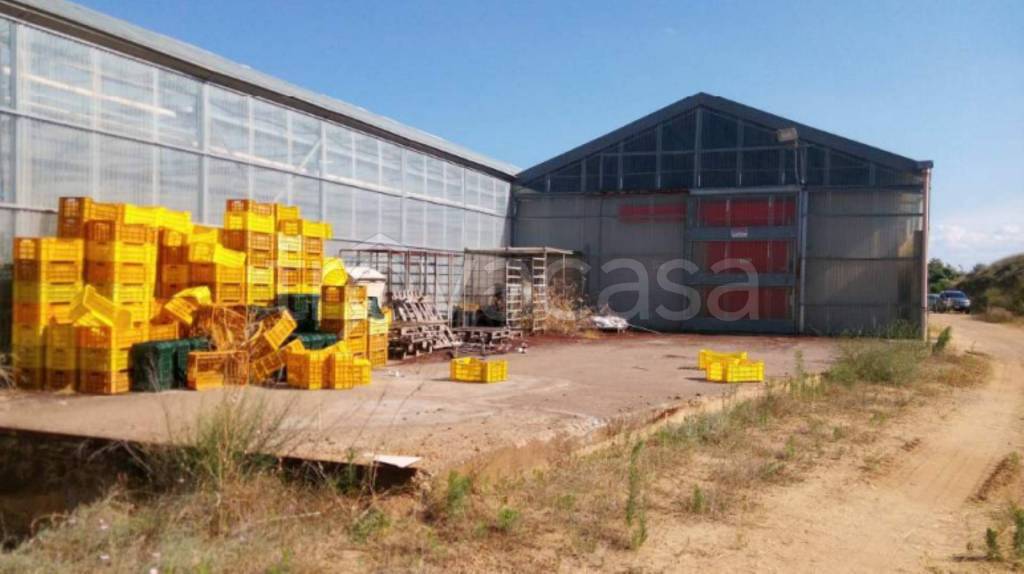 immagine annuncio 5 di 11