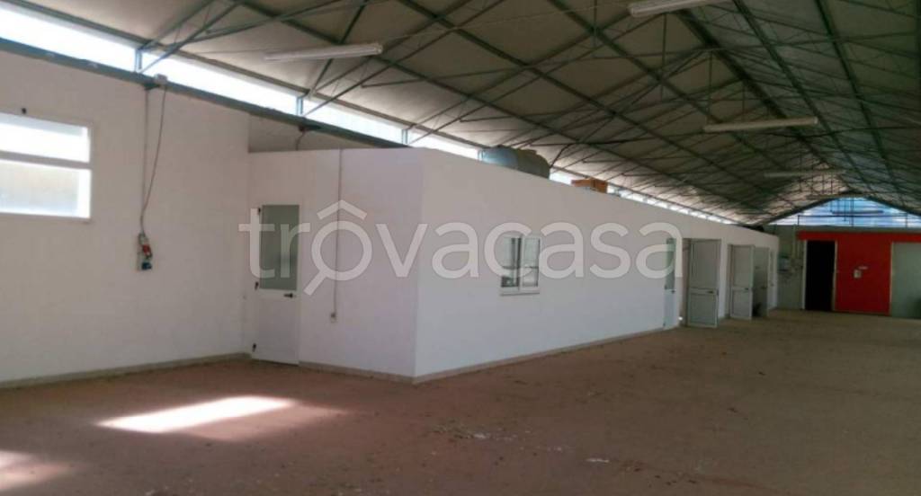 immagine annuncio 6 di 11