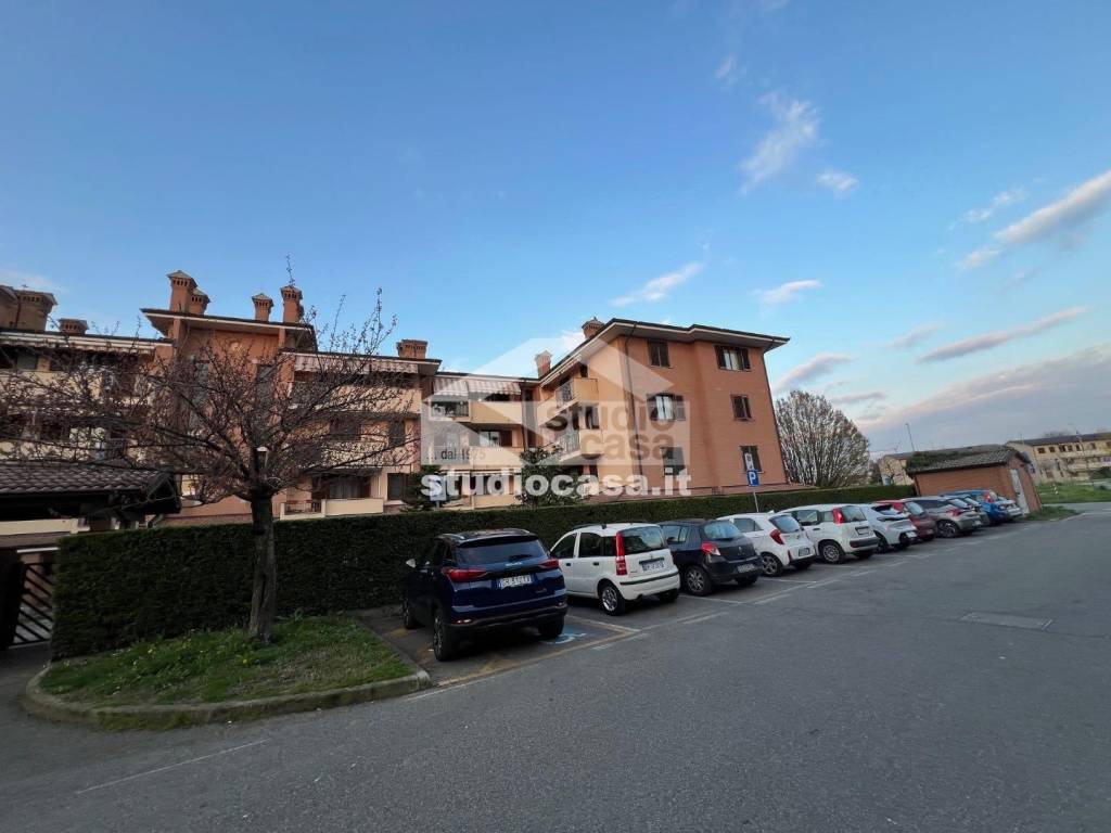 immagine annuncio 3 di 15