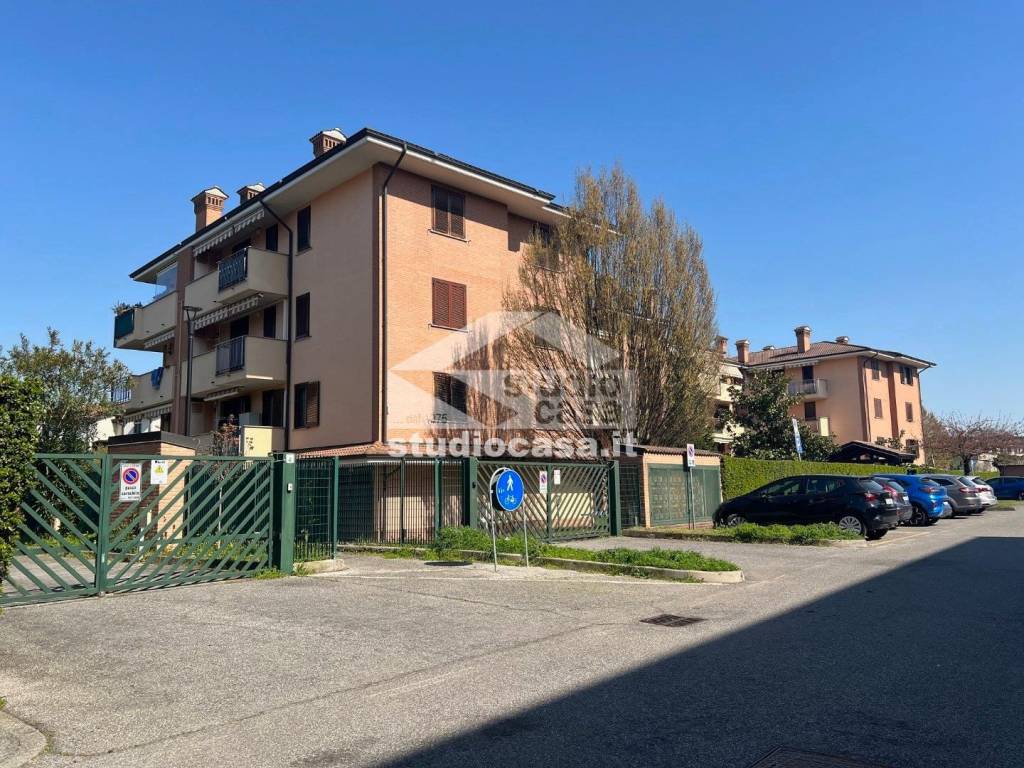 immagine annuncio 7 di 15