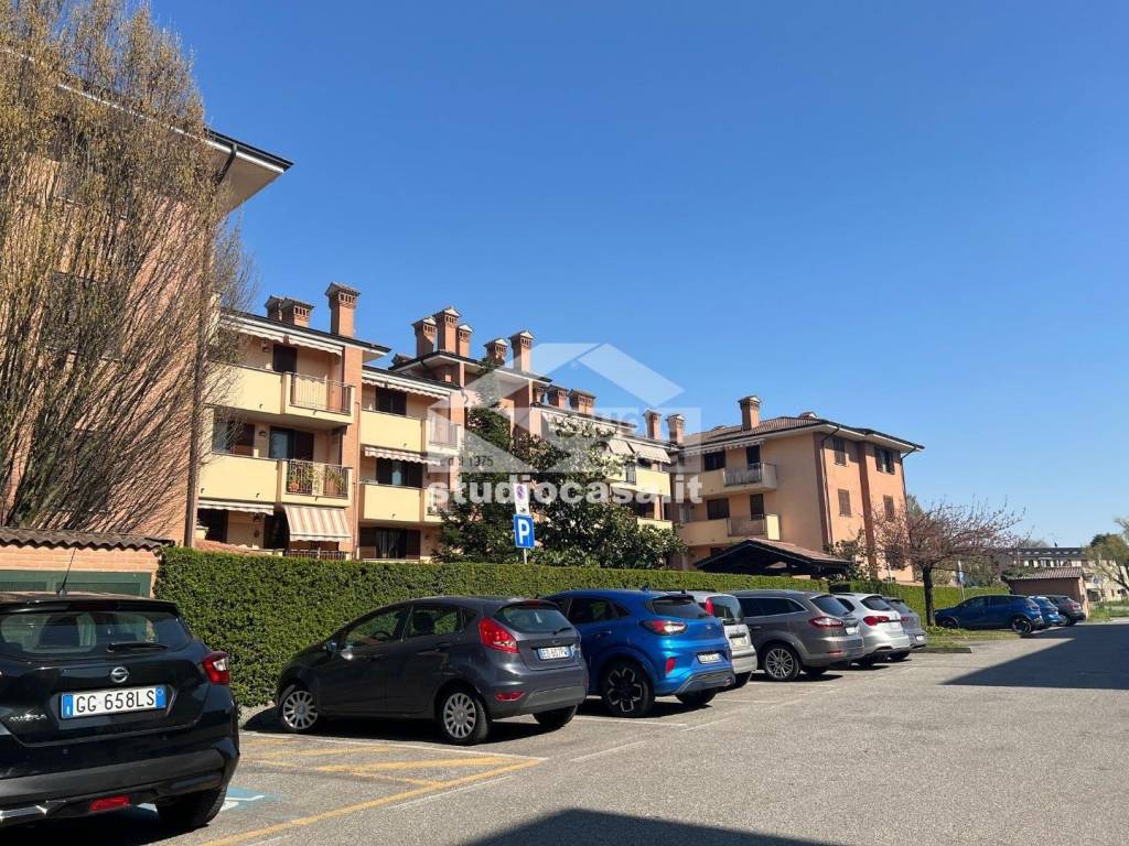 immagine annuncio 9 di 15