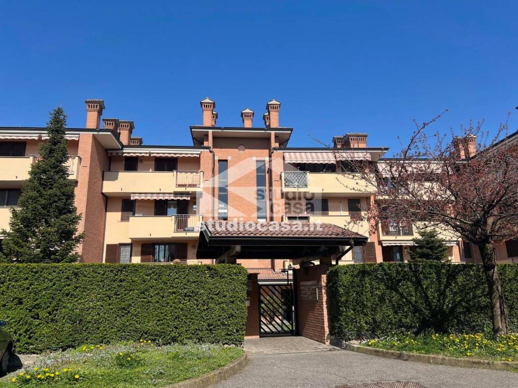 immagine annuncio 10 di 15