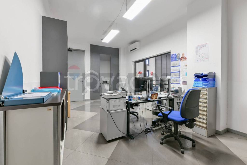 immagine annuncio 9 di 15