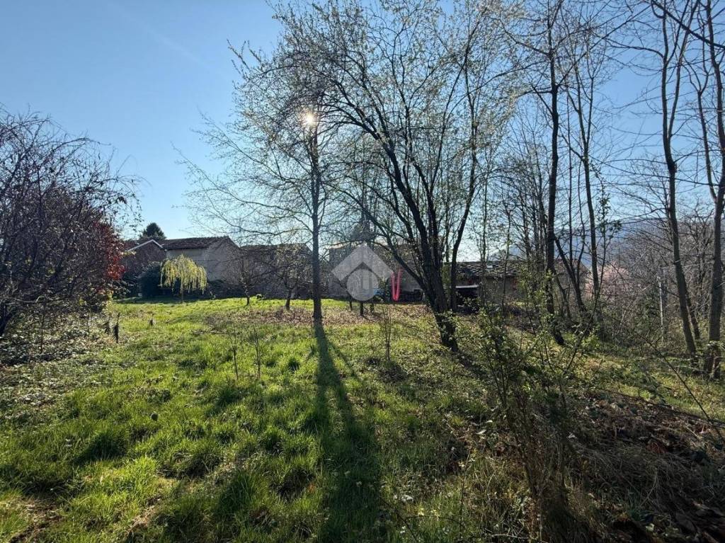 immagine annuncio 1 di 7