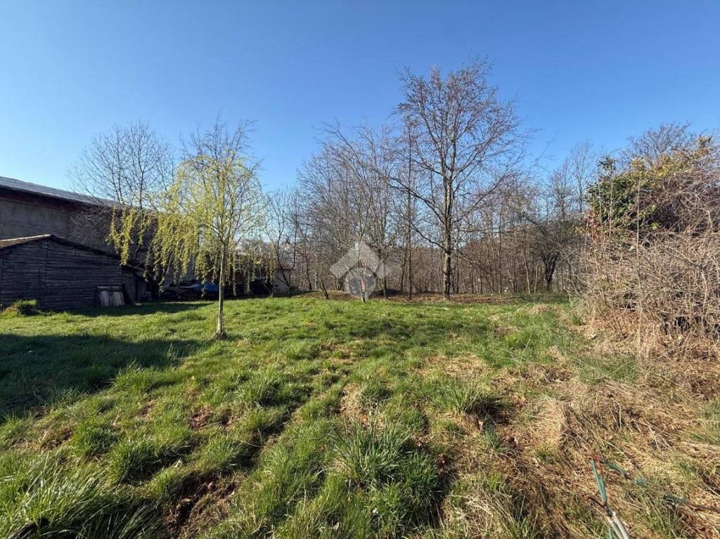 immagine annuncio 2 di 7