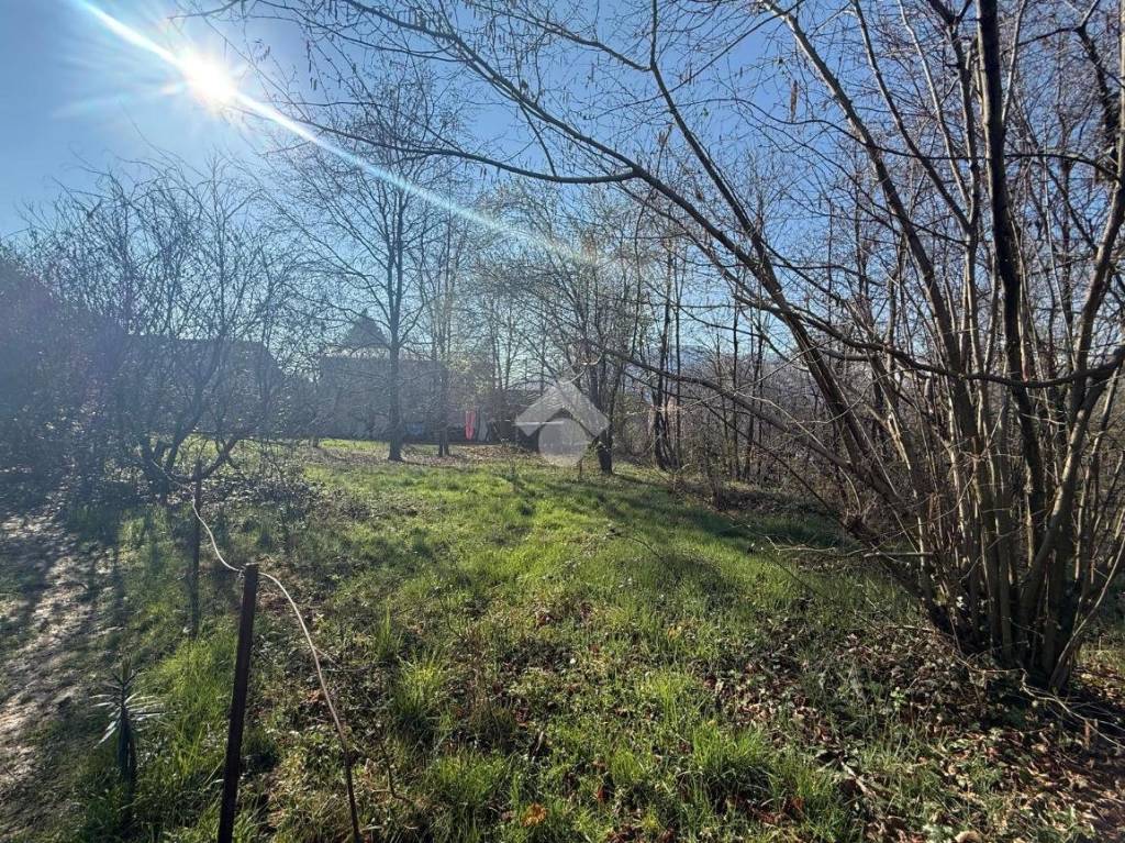 immagine annuncio 6 di 7