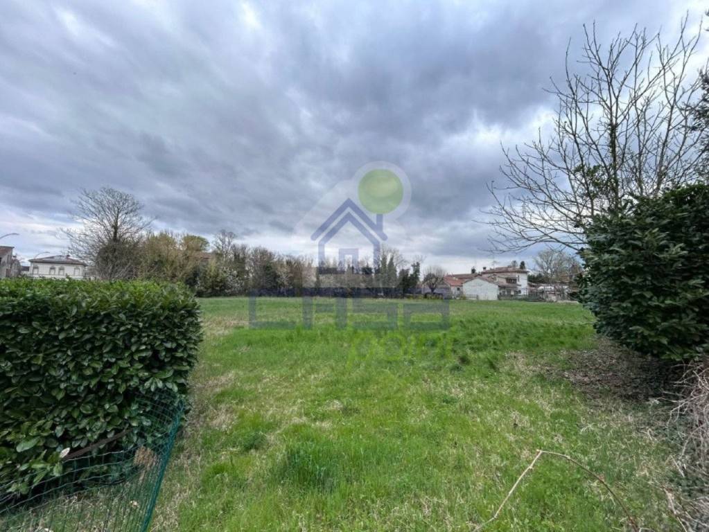 immagine annuncio 6 di 13