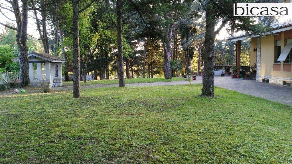 immagine annuncio 3 di 6