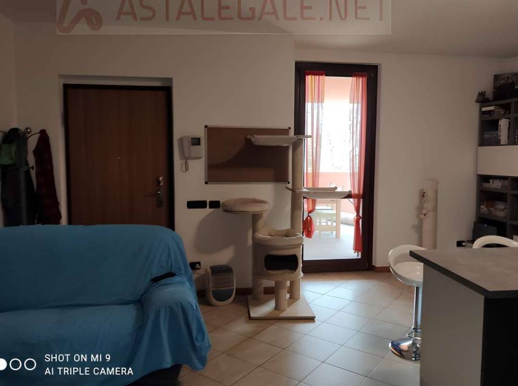 immagine annuncio 1 di 8