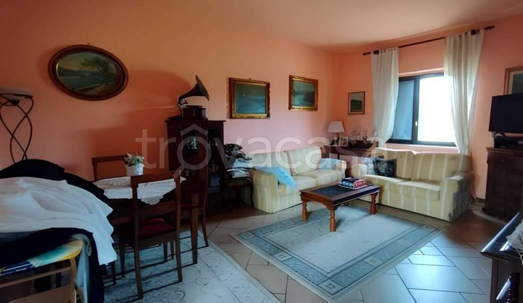 immagine annuncio 2 di 8