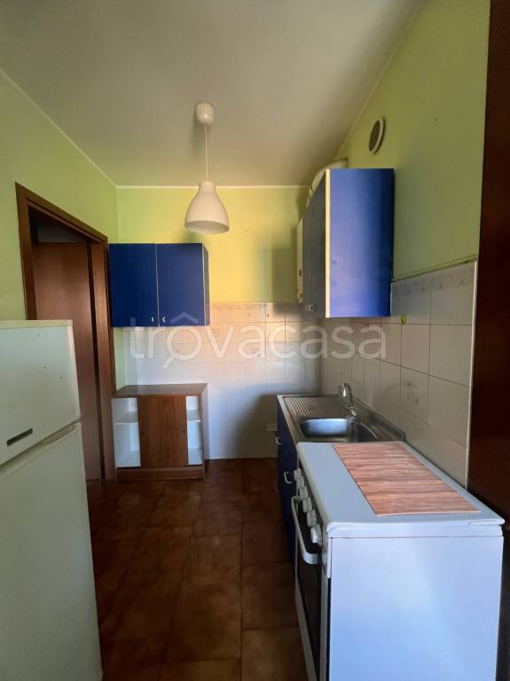 immagine annuncio 3 di 13