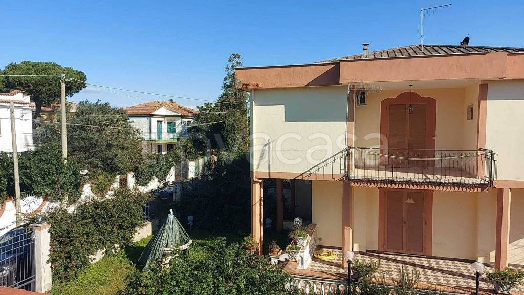 immagine annuncio 2 di 12