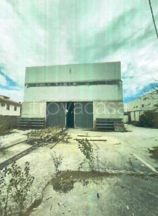 immagine annuncio 5 di 11