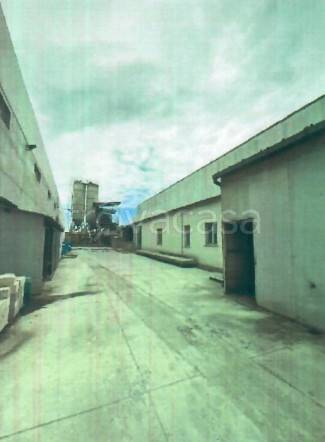 immagine annuncio 7 di 11