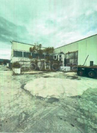 immagine annuncio 8 di 11