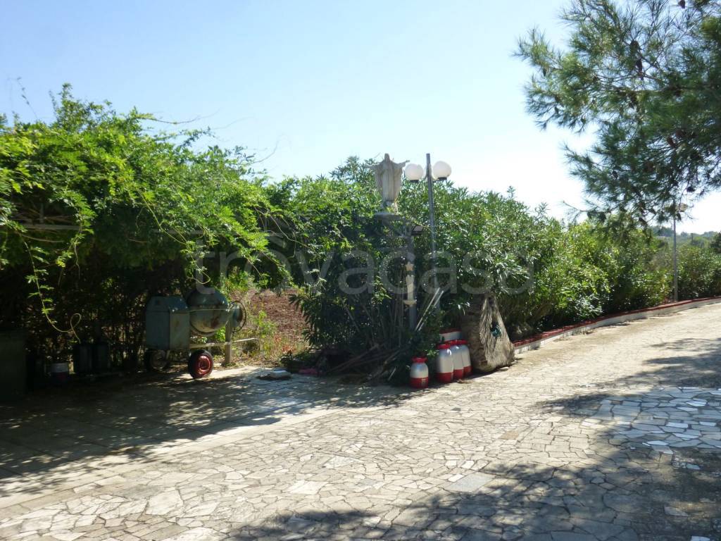 immagine annuncio 7 di 9