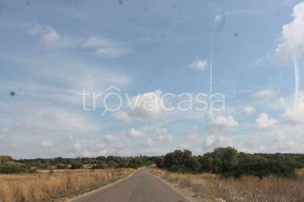 immagine annuncio 8 di 12