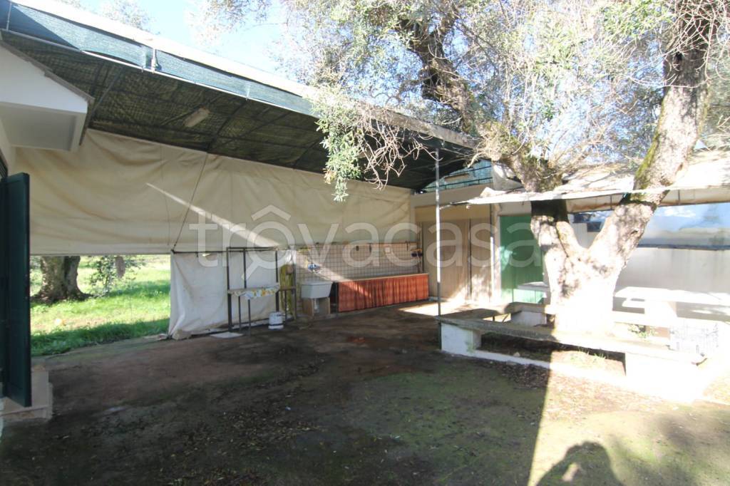 immagine annuncio 3 di 11