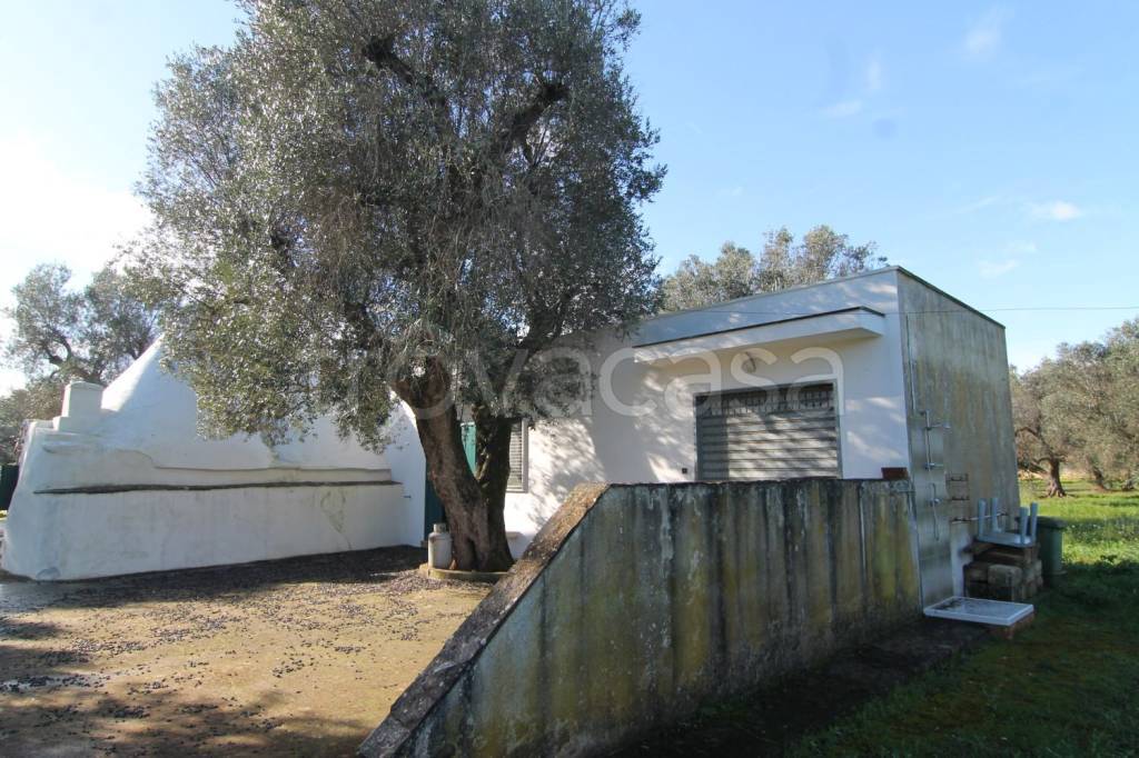 immagine annuncio 7 di 11