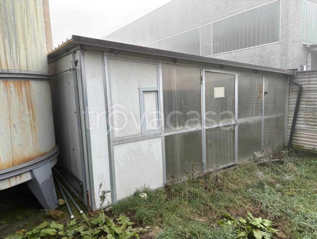 immagine annuncio 8 di 15