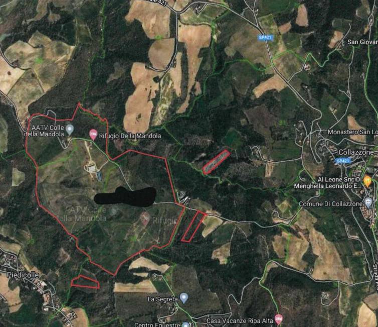 immagine annuncio 8 di 15