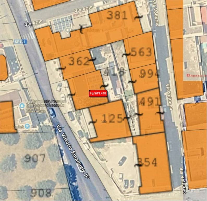 immagine annuncio 3 di 10