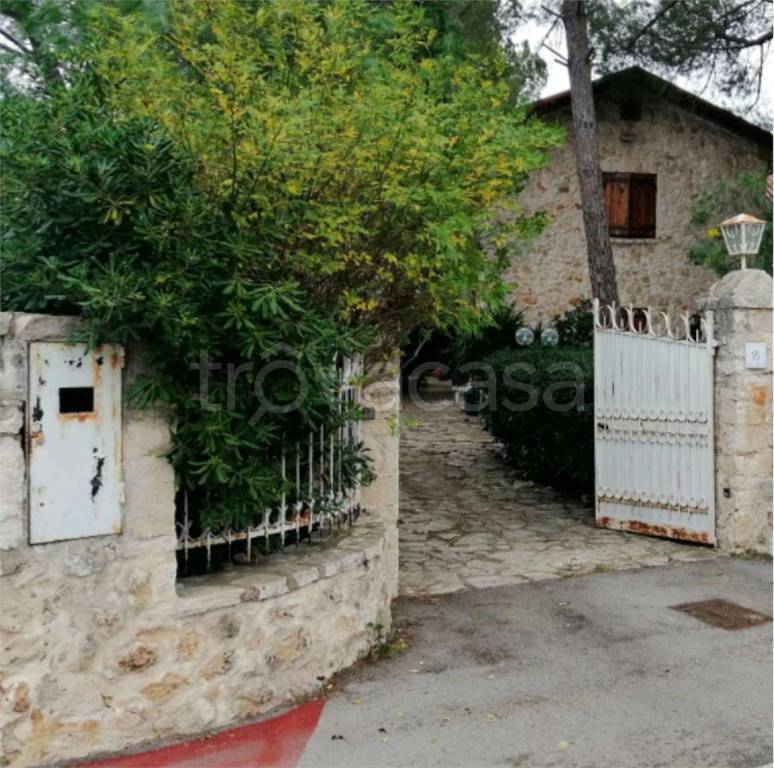 immagine annuncio 3 di 10