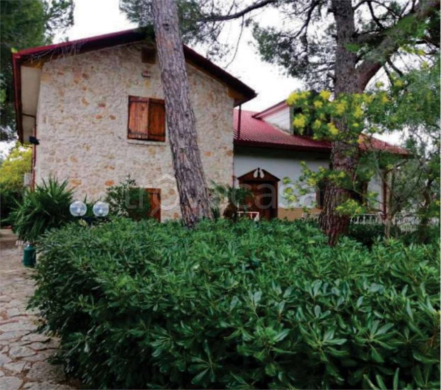 immagine annuncio 5 di 10