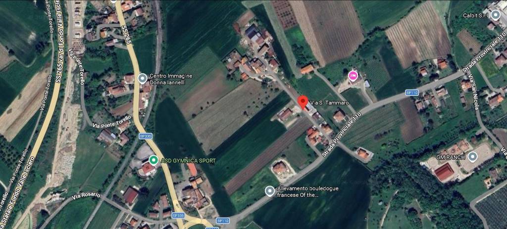 immagine annuncio 12 di 13
