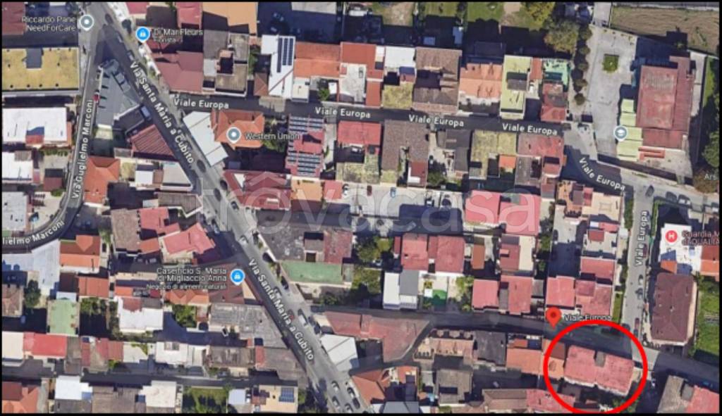 immagine annuncio 12 di 13