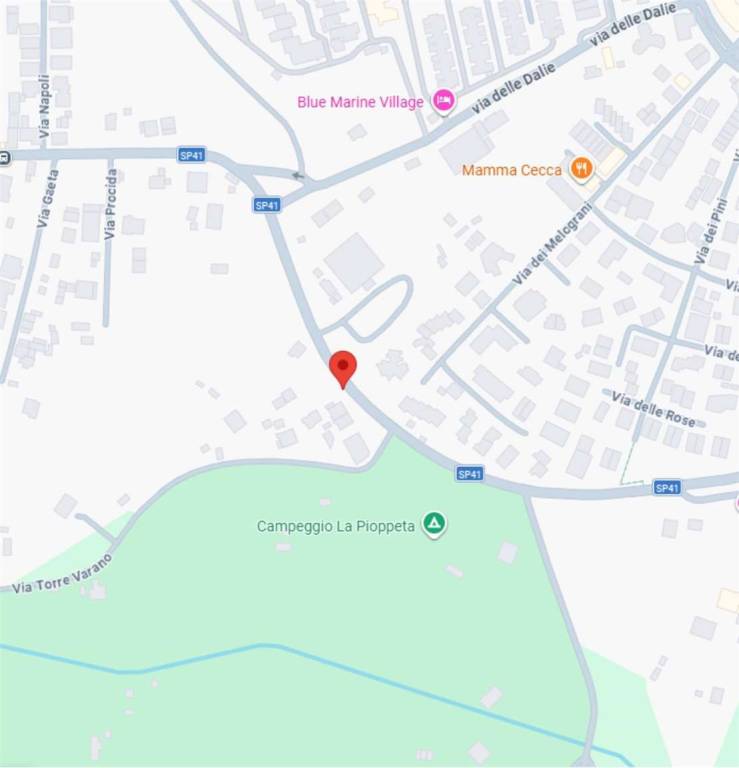 immagine annuncio 11 di 15