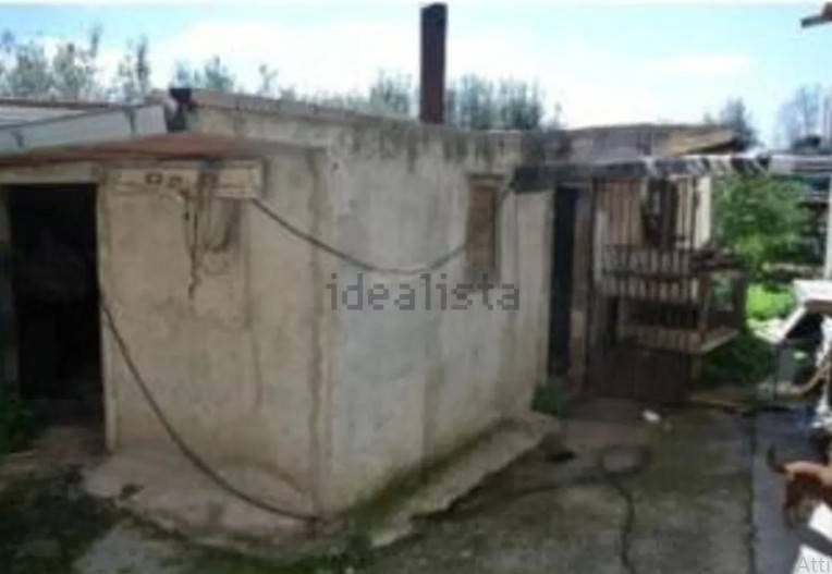 immagine annuncio 3 di 6