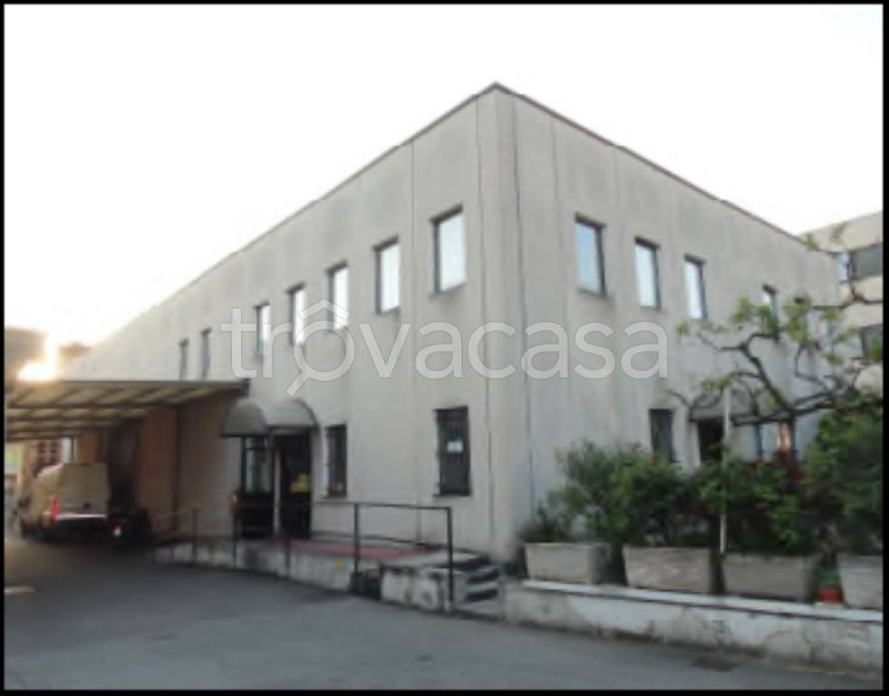 immagine annuncio 2 di 12