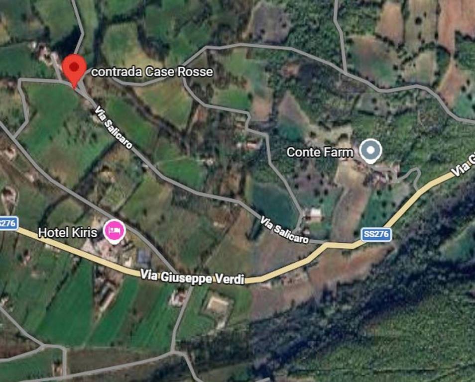 immagine annuncio 12 di 15