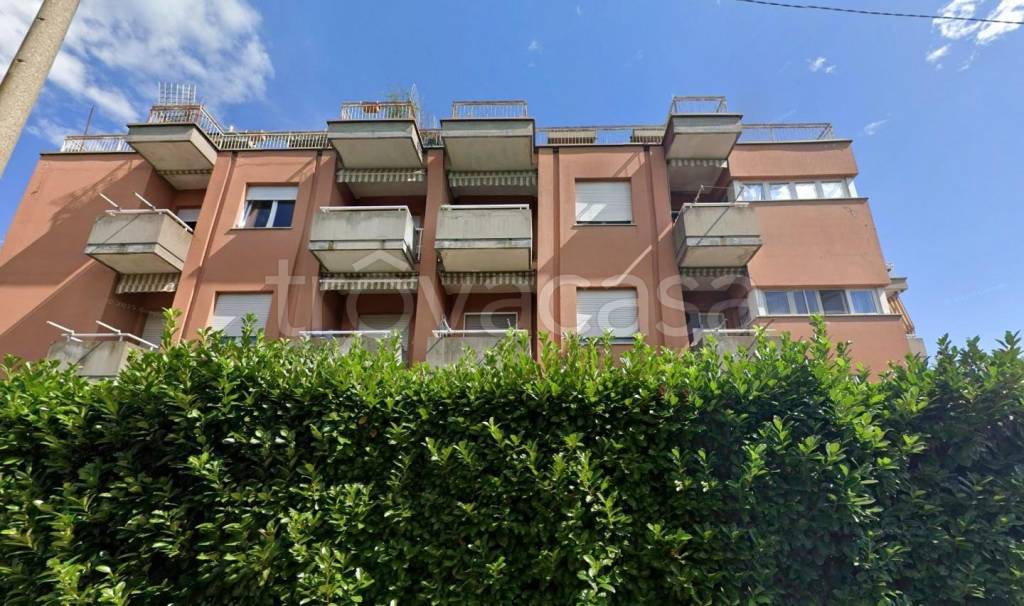 immagine annuncio 4 di 8